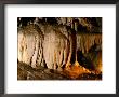 Cave Formations, Ashland, Oregon Caves National Monument, Oregon by John Elk Iii Limited Edition Print