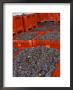 Gamay Grapes At Georges Duboeuf Winery, Romaneche-Thorins, Beaujolais, Bourgogne, France by Per Karlsson Limited Edition Print