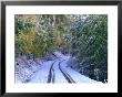 Winter Snow Covers A Road In The Mt. Sneffels Wilderness, San Juan National Forest, Colorado by Greg Gawlowski Limited Edition Print