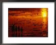 Children Silhouetted At Sunset, Ko Samui, Surat Thani, Thailand by Dallas Stribley Limited Edition Pricing Art Print