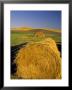Hay Bales In Field, Palouse, Washington, Usa by Terry Eggers Limited Edition Print