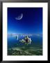 Moon Over Tufa Formations, Mono Lake Tufa State Reserve, Mono Lake, U.S.A. by Mark Newman Limited Edition Pricing Art Print