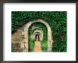 Ivy And Arches At Les Chartreuses Walled Gardens, Coupesarte, Basse-Normandy, France by Diana Mayfield Limited Edition Print