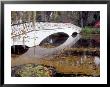 Long White Bridge Over Pond, Magnolia Plantation And Gardens, Charleston, South Carolina, Usa by Julie Eggers Limited Edition Print