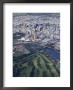 Aerial Of Torrens River And The City Of Adelaide by Jason Edwards Limited Edition Print