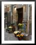 Florist Shop, Languedoc-Roussillon, France by Lisa S. Engelbrecht Limited Edition Print