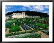 Gardens Of Chateau Villandry, France by John Elk Iii Limited Edition Print