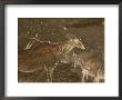 Hunters And Animals In A Cave Painting In The Drakensberg Range by Kenneth Garrett Limited Edition Print