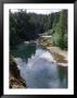 The Umpqua River, Umpqua National Forest by Frank Siteman Limited Edition Print