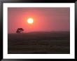 Sunset Over Land, Manitoba Prairie by Keith Levit Limited Edition Print
