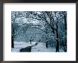 Hampstead Heath In Winter, London, England by Lawrence Worcester Limited Edition Print