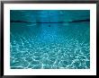 Underwater View In A Swimming Pool by Tim Laman Limited Edition Print