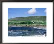 Kerry, Ireland by Martin Fox Limited Edition Print