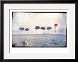 Lamb By Row Of Trees And Red Balloon by Mia Friedrich Limited Edition Print