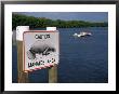 Manatee Warning Sign, Palm Island, Fl by Jeff Greenberg Limited Edition Pricing Art Print