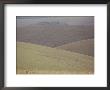 Scenic View Of Gentle Rolling Hills by Bill Curtsinger Limited Edition Print