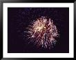 A View Of Wriggling Fireworks by Todd Gipstein Limited Edition Print
