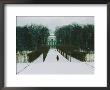 Snowy Entranceway To An Estate Near Saint Petersburg by Cotton Coulson Limited Edition Print