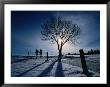 Couple Hiking On A Path With Winter Sun, Zurich, Switzerland by Martin Moos Limited Edition Print