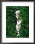 Side Profile Of Roman Bust In Hedge, Groombridge, East Sussex by Juliet Greene Limited Edition Print