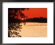 Trees Near Water At Sunset - Key West, Fl by Larry Lipsky Limited Edition Print
