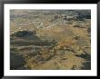 Aerial Of Aspen Trees And Fall Colors In Lamar Valley by Norbert Rosing Limited Edition Print