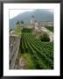 Castelgrande Vineyards And Fortified Walls, Bellinzona, Switzerland by Lisa S. Engelbrecht Limited Edition Print