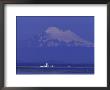 New Dungeness Lighthouse On Dungeness Bay, Washington, Usa by Jamie & Judy Wild Limited Edition Print