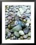Bubble Water Fountain Over Pebbles With Faces by Mark Bolton Limited Edition Pricing Art Print