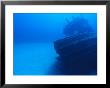 A Sunken Tugboat Lies On The Seafloor by Heather Perry Limited Edition Print