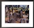 New Jewish Cemetery, Krakow, Poland by Krzysztof Dydynski Limited Edition Print