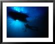 Diver Underneath Boat With Sunlight, Leigh, New Zealand by Jenny & Tony Enderby Limited Edition Pricing Art Print