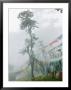 Praying Flags In The Dochula Pass, Between Wangdi And Thimphu, Bhutan by Keren Su Limited Edition Print