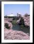 Sakura Time, The Chidorigaruchi Moat, Tokyo, Japan by Dorian Weber Limited Edition Print
