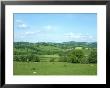 Rolling Green Fields Of Wales, Powys, Uk by Mike Slater Limited Edition Print