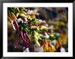 Chili Peppers In Pike Place Market, Seattle, Wa by Walter Bibikow Limited Edition Pricing Art Print