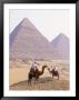 Men On Camels, Giza, Egypt by David Burch Limited Edition Print
