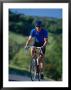 Bicyclist On Road, Napa Valley, Ca by Robert Houser Limited Edition Pricing Art Print