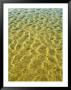 Incoming Tide Creates Patterns In Sand by Troy & Mary Parlee Limited Edition Print