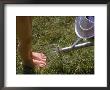 Watering Can Sprinkling Water On Child's Feet by Sally Moskol Limited Edition Print