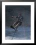 Riding High On An Air Chair While Water-Skiing by Phil Schermeister Limited Edition Pricing Art Print