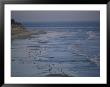 A Surfer Heads Towards The Water On Sands Beach by Rich Reid Limited Edition Print