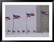 Wind Whips The Flags Surrounding The Base Of The Washington Monument by Stacy Gold Limited Edition Print