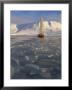 Yacht Northhanger Frozen Into The Ice, Drying Her Sails by John Dunn Limited Edition Print