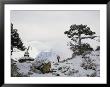 A Member Of The Mount Everest Expedition Stands Near A Stone Pagoda by Barry Bishop Limited Edition Pricing Art Print