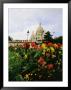 Red And Yellow Flowers Bloom In A Garden Near A Domed Building by Raul Touzon Limited Edition Print