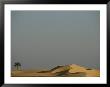 Scenic Landscape Of The Bahariya Oasis In Egypt by Kenneth Garrett Limited Edition Print