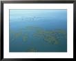 Aerial, Belize by Barry Tessman Limited Edition Print