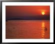 Sunset Over Water, Kenya by Mitch Diamond Limited Edition Pricing Art Print