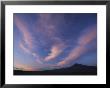 A Colorful Twilight Sky With Wispy Clouds Over Bruneu Dunes, Idaho by Michael Melford Limited Edition Print